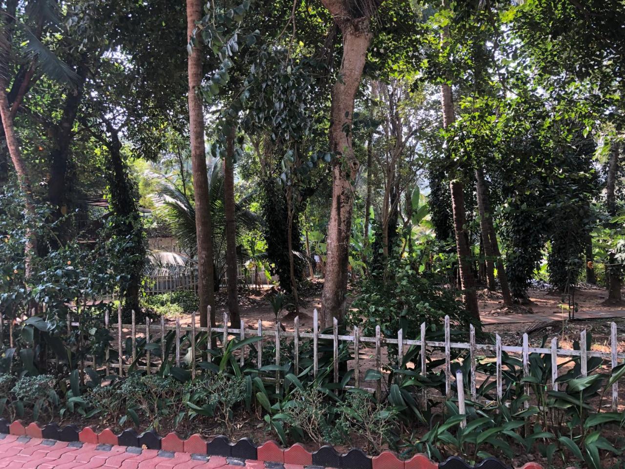 Ayuryogashram Heritage Thrissur Buitenkant foto